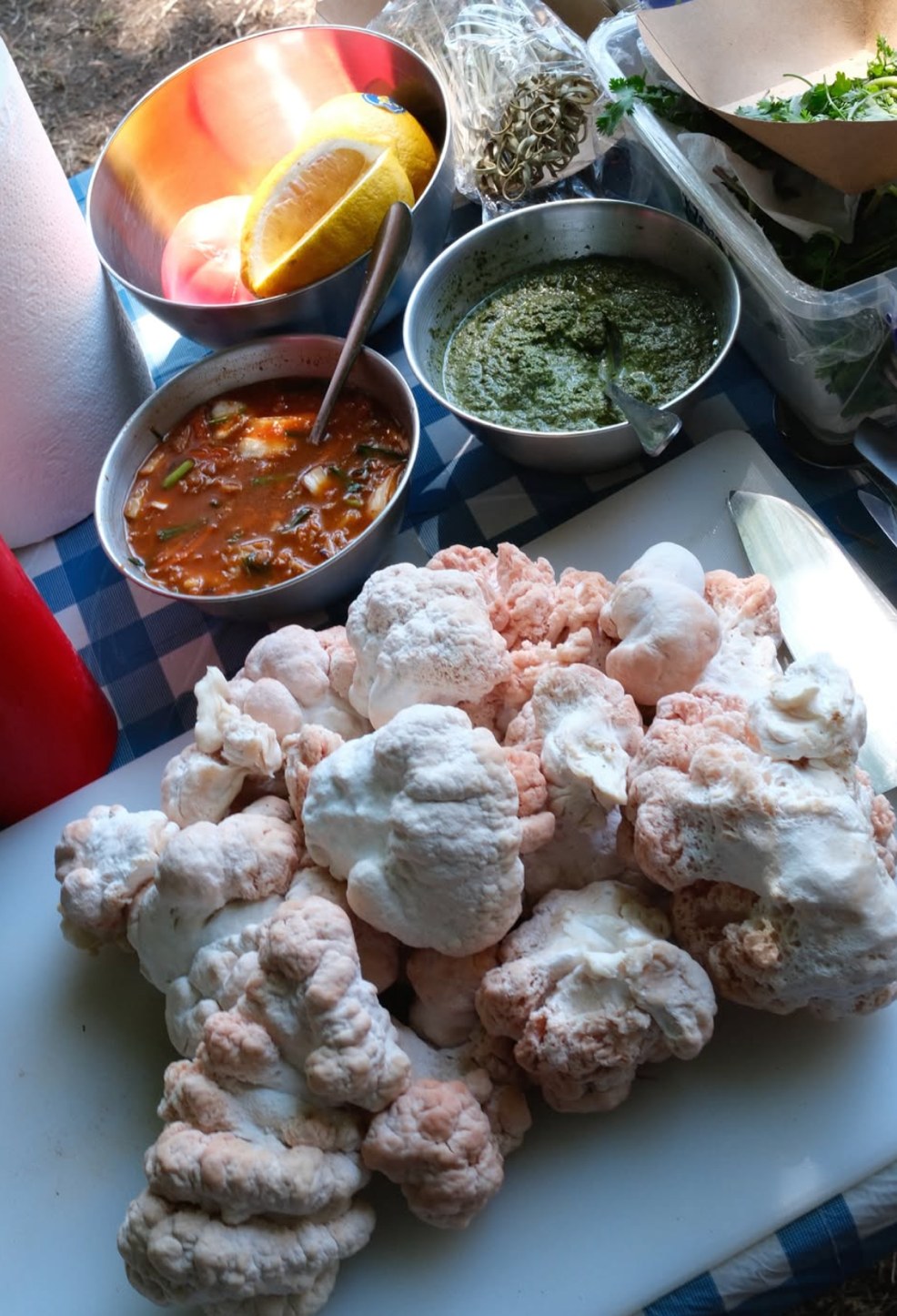 Plantastic Kitchen weekend specials — cauliflower, soups and herb sauces